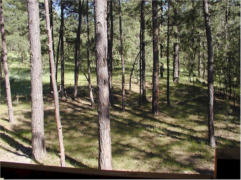Comanche Lodge Custer Szoba fotó